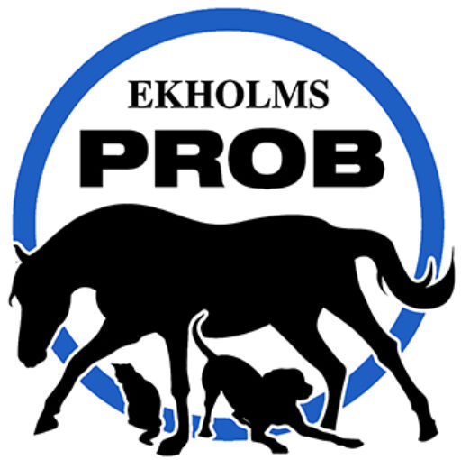 Ekholm Vision – PROB SERIEN
